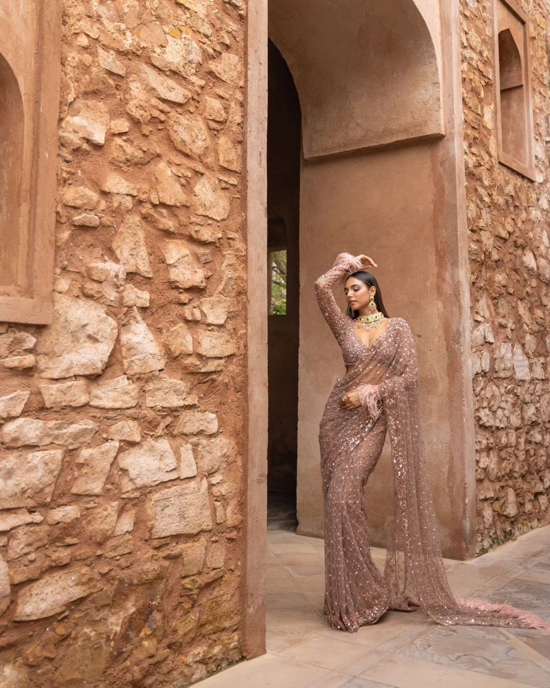 Beautiful sequins Embroidery C Pallu Work with Cutwork in border saree