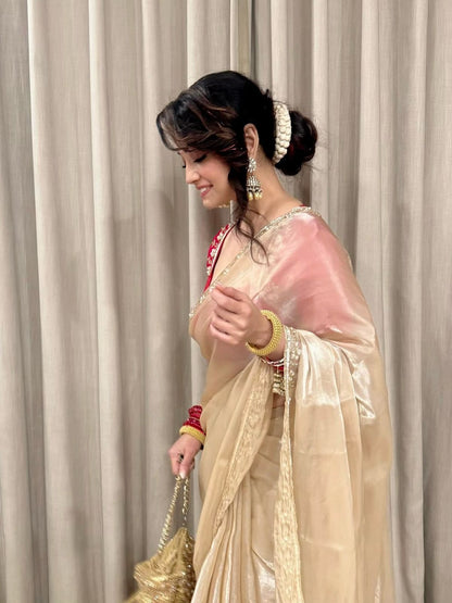 Beautiful Sequins and katdana handwork saree