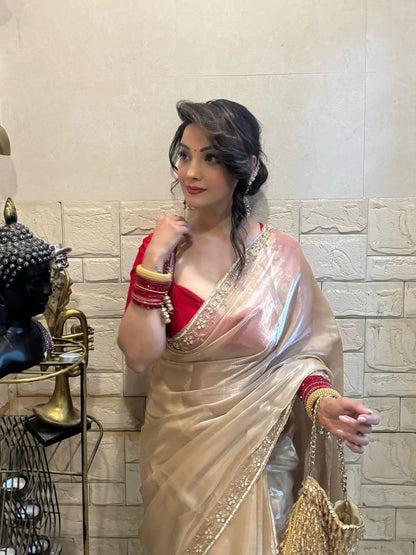 Beautiful Sequins and katdana handwork saree