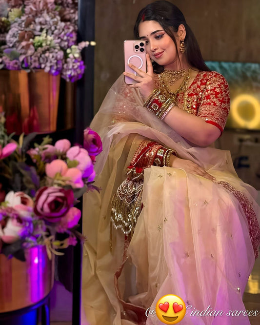 Heavy Soft Organza Dori Embroidery Work