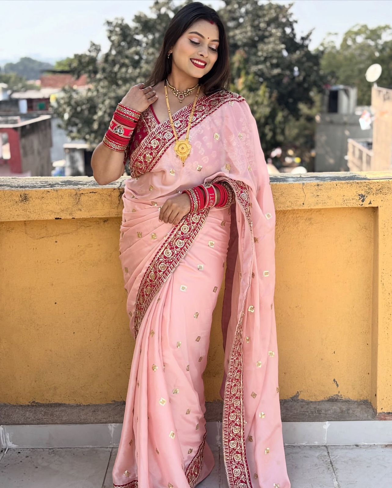Soft Rangoli Silk Saree with Sequins & Dori Embroidery Lace Border